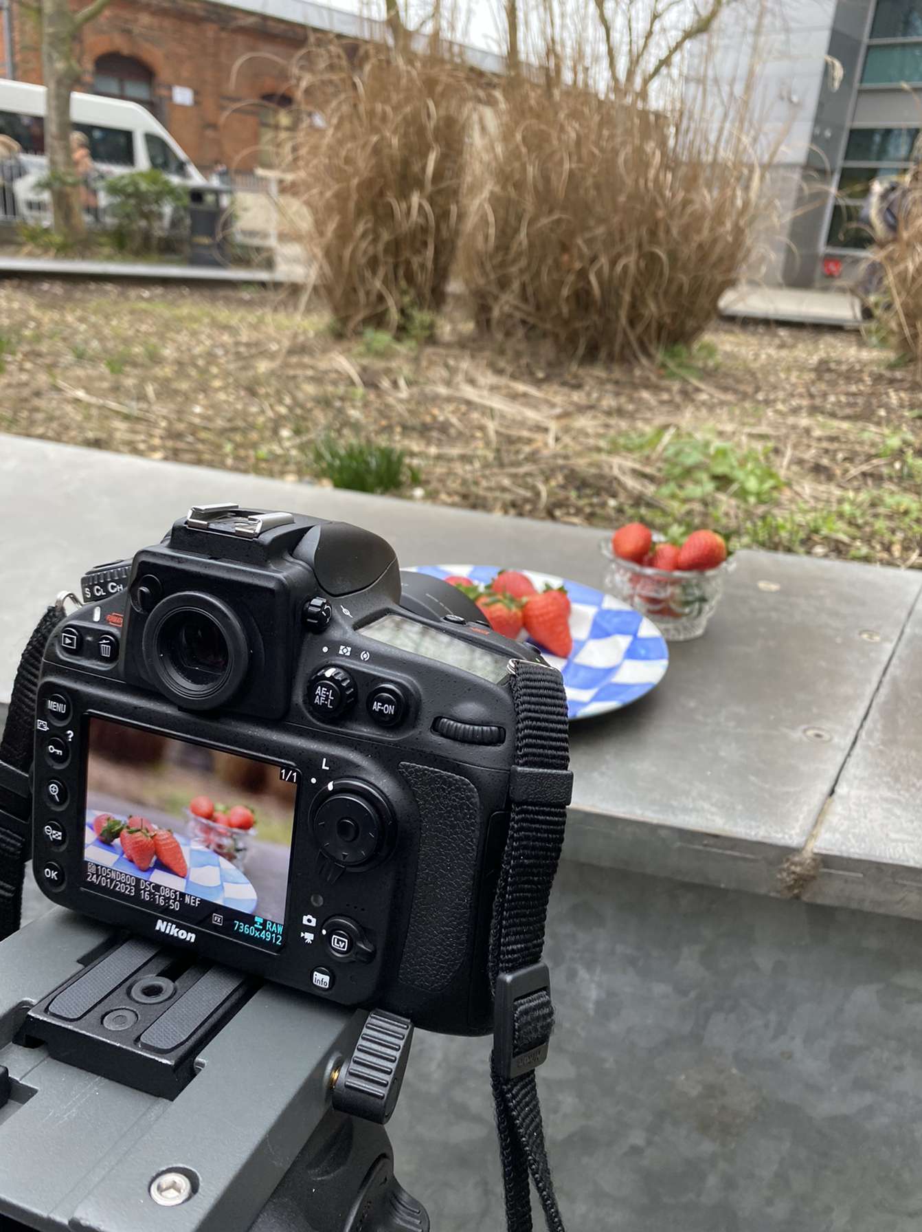 Camera framed on a still life of strawberries on a checkered plate